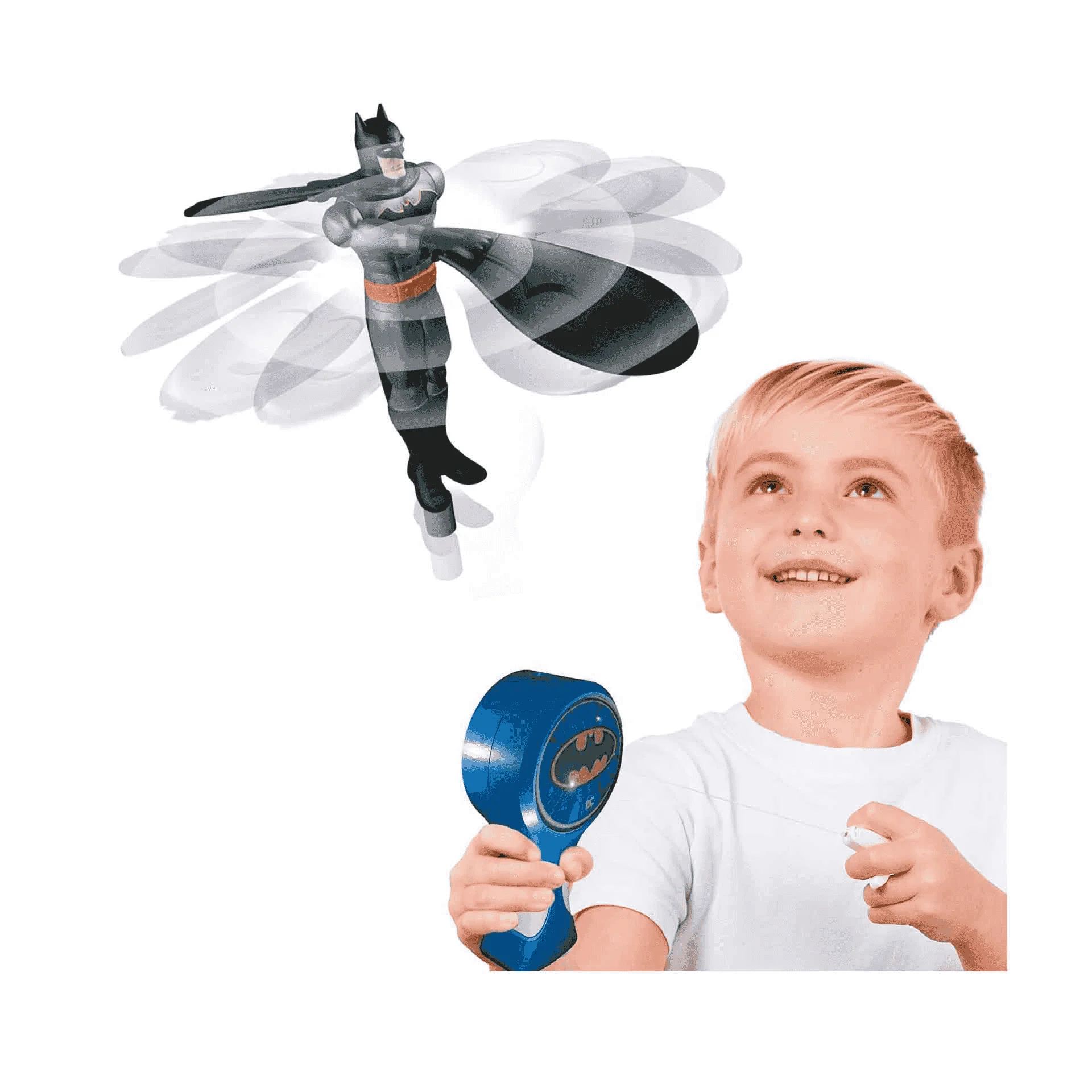 Miniatura 1