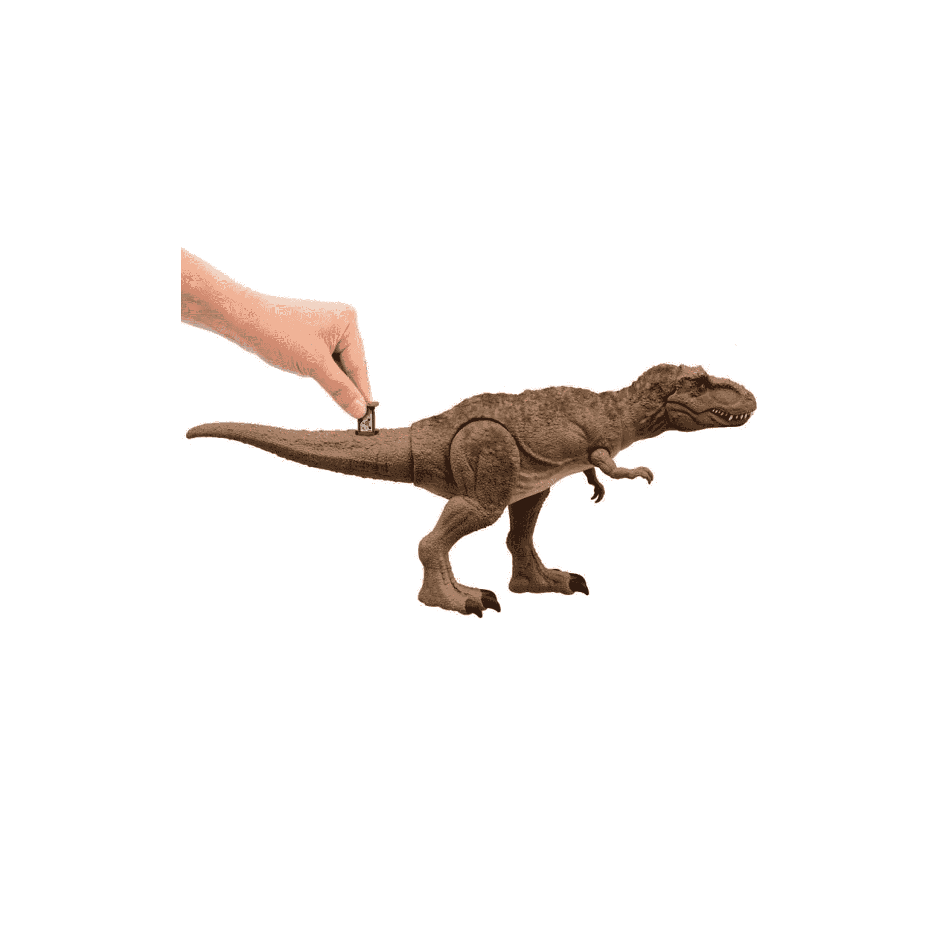 Thumb 4