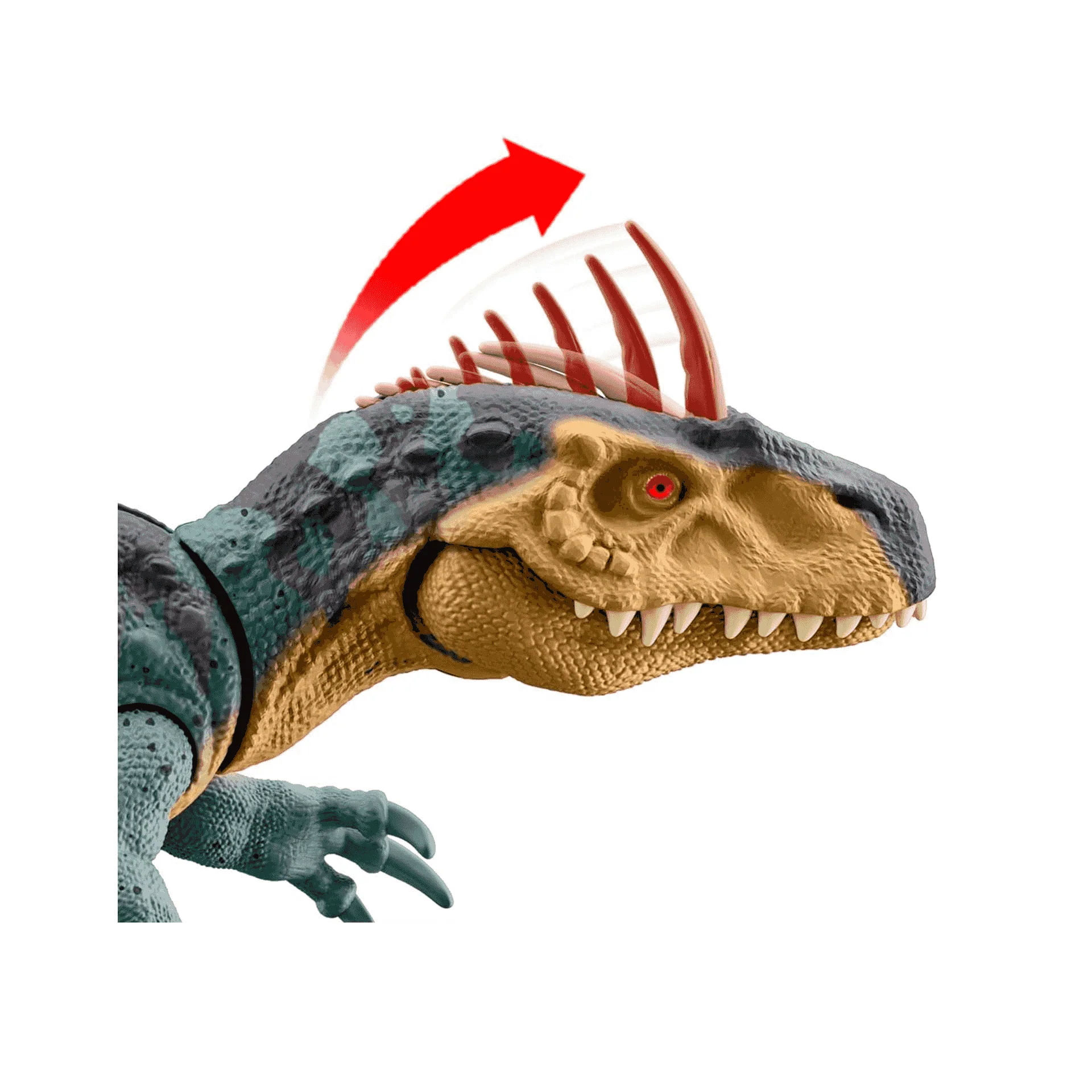Thumb 4