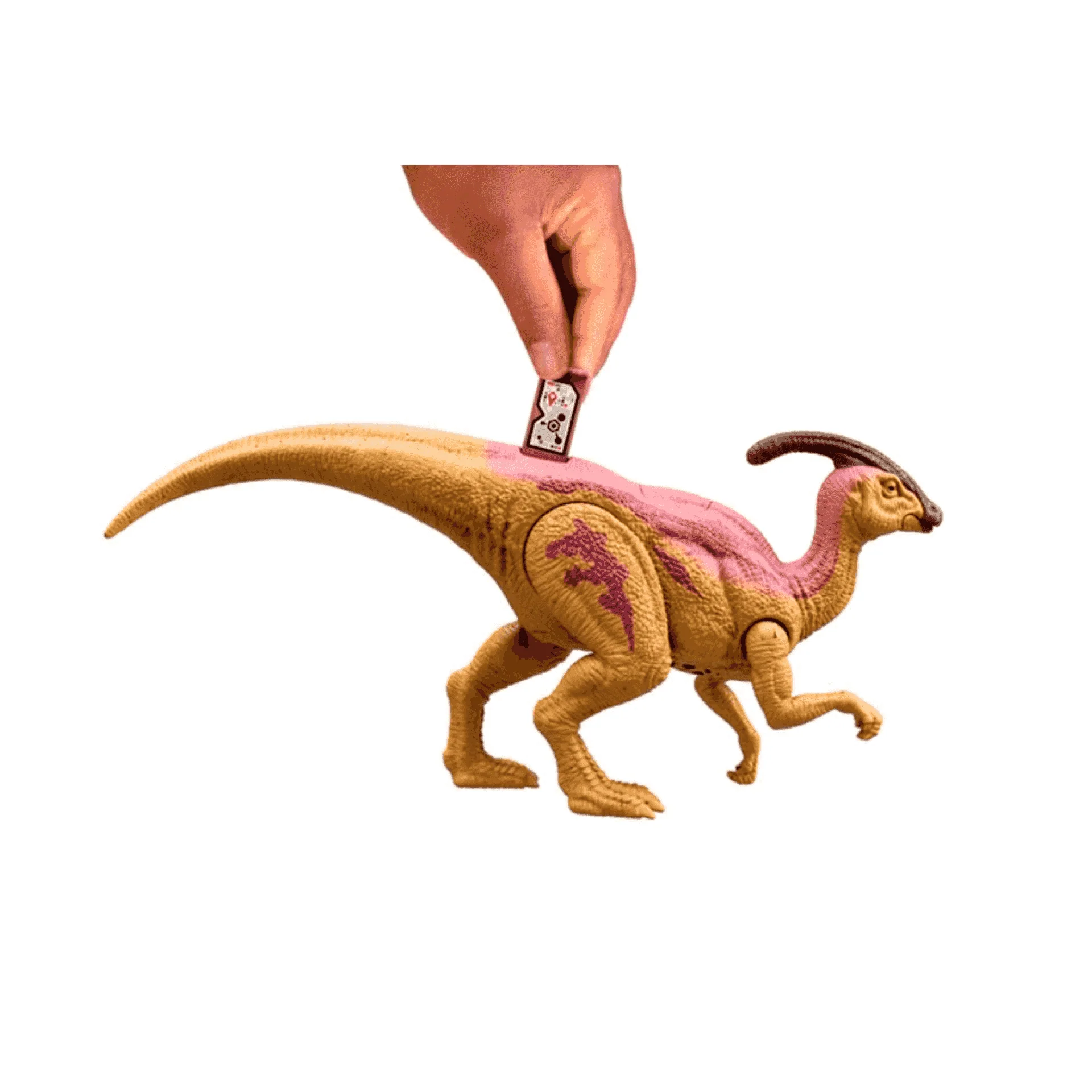 Thumb 4